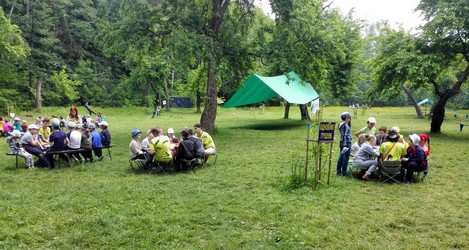 Родители и дети на выпускном в лесу